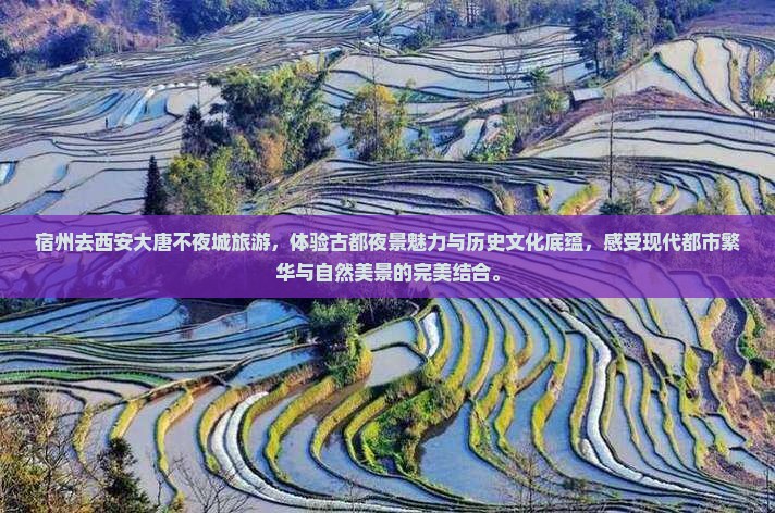 宿州去西安大唐不夜城旅游