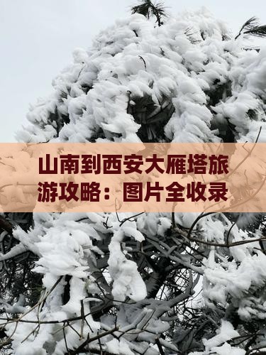 山南到西安大雁塔必去地