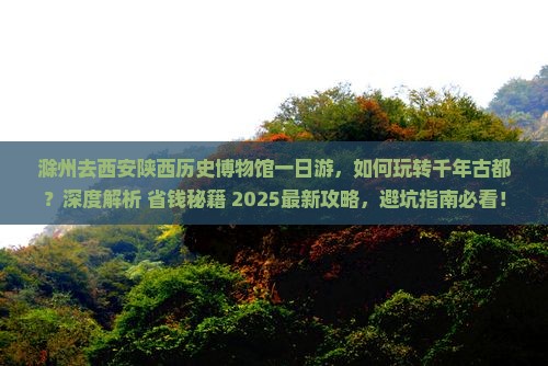 滁州去西安陕西历史博物馆一日游