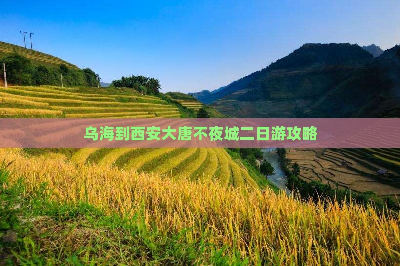乌海到西安大唐不夜城二日游
