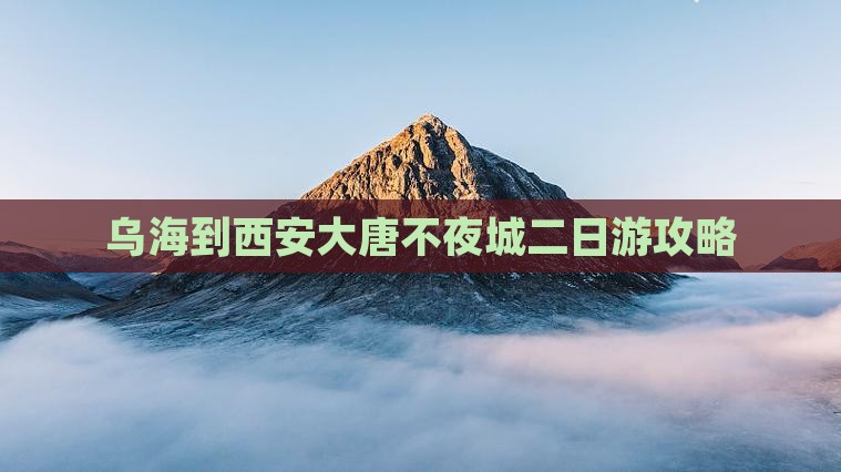 乌海到西安大唐不夜城二日游