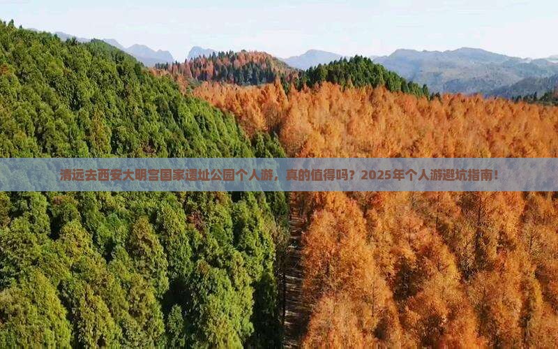 清远去西安大明宫国家遗址公园个人游