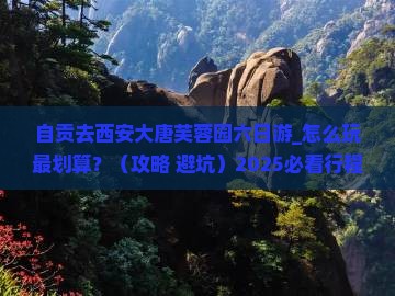 自贡去西安大唐芙蓉园六日游