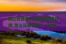 唐山去西安大唐芙蓉园四日游 唐山去西安大唐芙蓉园四日游