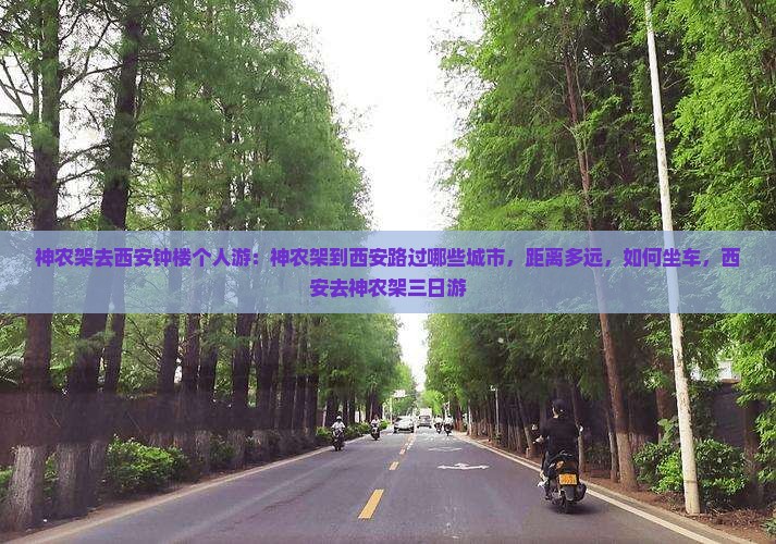 神农架去西安钟楼个人游 神农架去西安钟楼个人游