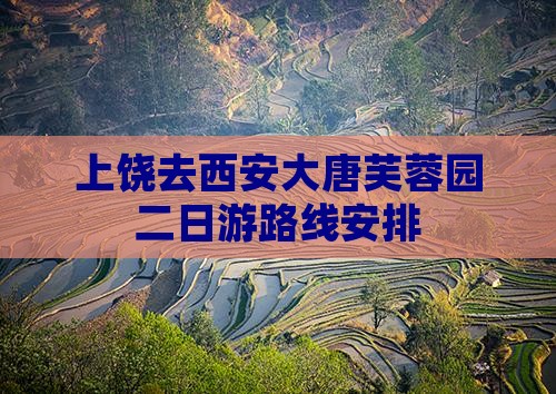 上饶去西安大唐芙蓉园二日游