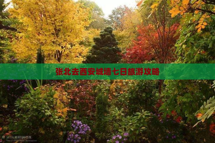 张北去西安城墙七日游