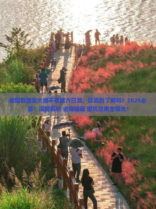 衡阳到西安大唐不夜城六日游
