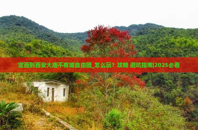 定西到西安大唐不夜城自由团