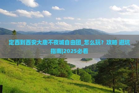 定西到西安大唐不夜城自由团