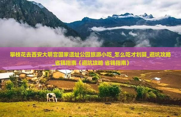 攀枝花去西安大明宫国家遗址公园旅游小吃