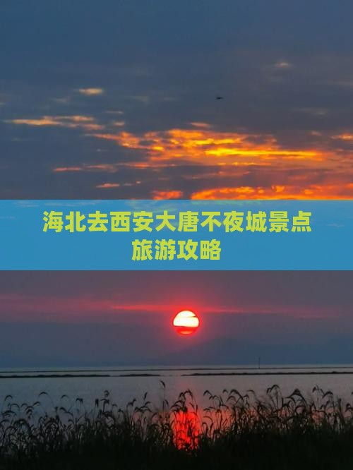 海北去西安大唐不夜城景点