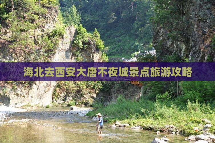 海北去西安大唐不夜城景点