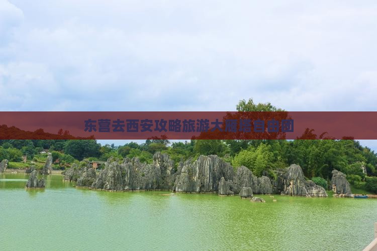 东营去西安大雁塔自由团