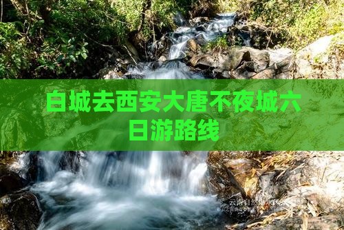 白城去西安大唐不夜城六日游