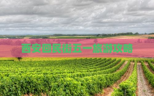 劳动节到西安回民街旅游