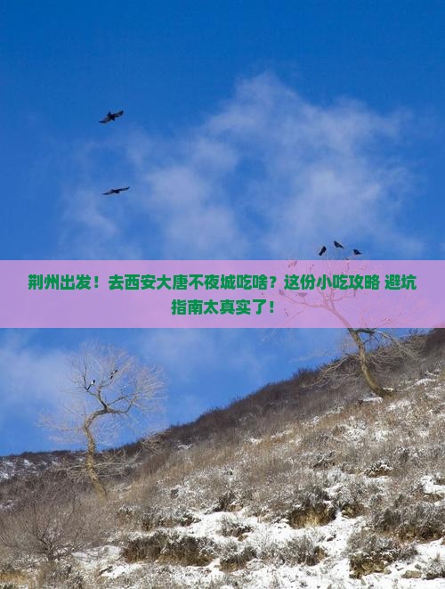 荆州到西安大唐不夜城旅游小吃 荆州到西安大唐不夜城旅游小吃