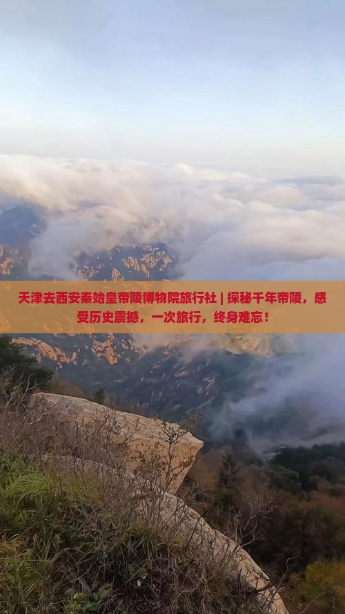 天津去西安秦始皇帝陵博物院旅行社