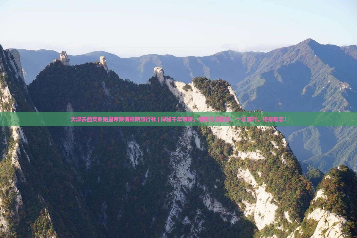 天津去西安秦始皇帝陵博物院旅行社