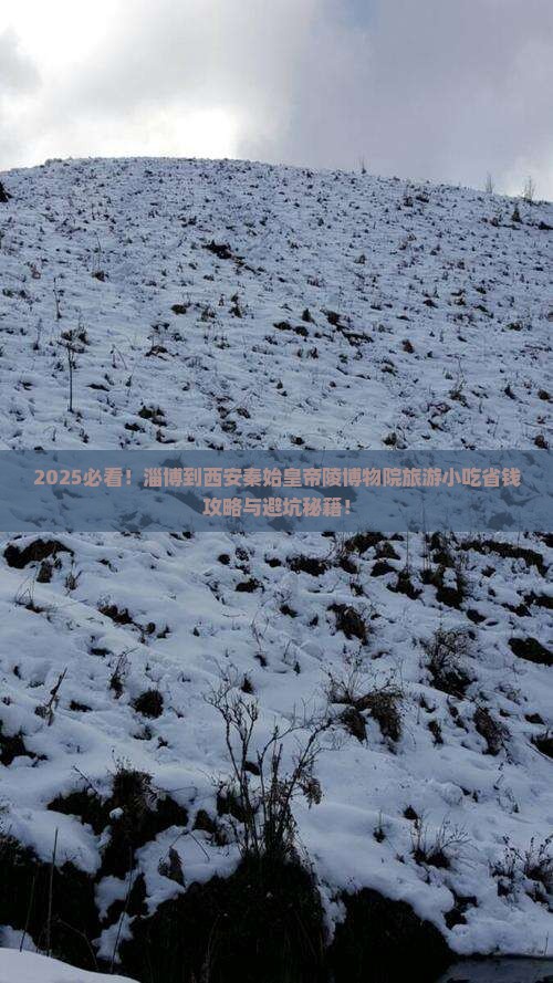 淄博到西安秦始皇帝陵博物院旅游小吃