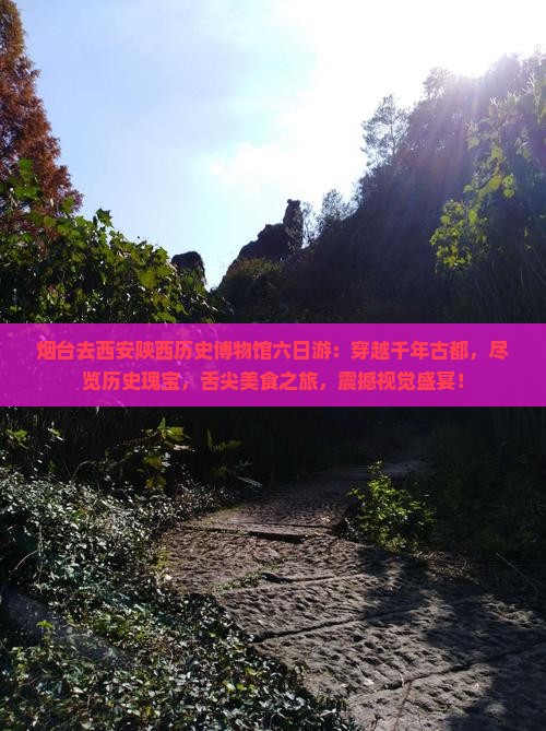 烟台去西安陕西历史博物馆六日游