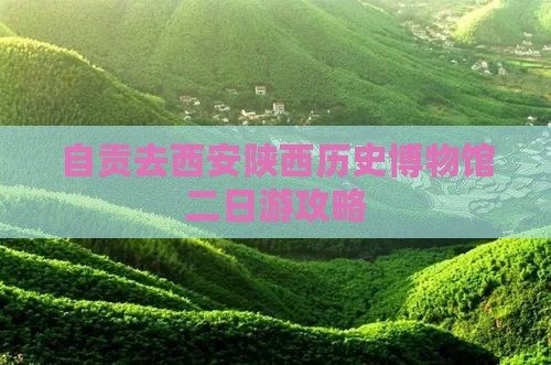 自贡去西安陕西历史博物馆二日游
