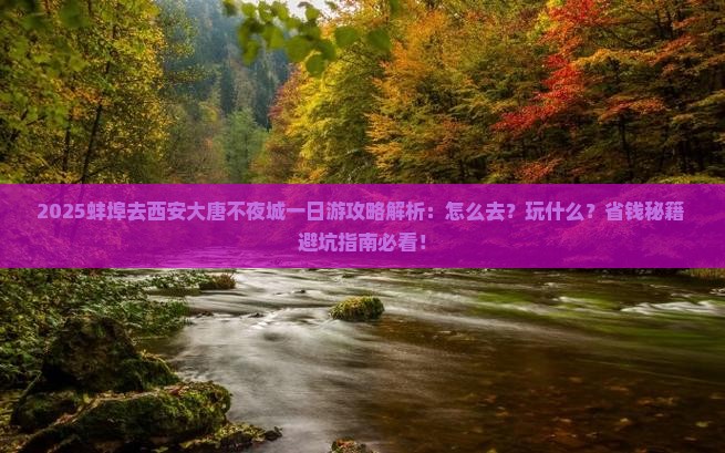 蚌埠去西安大唐不夜城一日游
