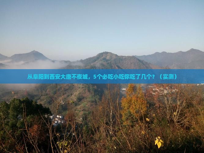阜阳到西安大唐不夜城旅游小吃