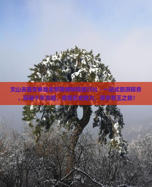 文山去西安秦始皇帝陵博物院旅行社