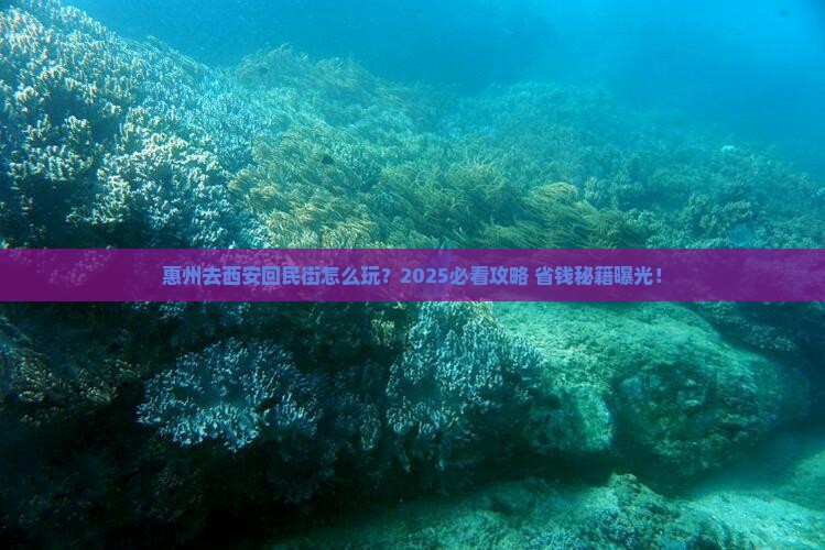 惠州去西安回民街门票