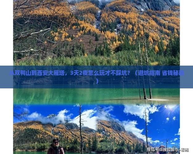 双鸭山到西安大雁塔自由行
