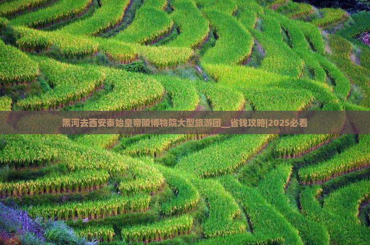 黑河去西安秦始皇帝陵博物院大型旅游团