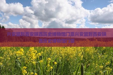 兴安盟到西安陕西历史博物馆门票