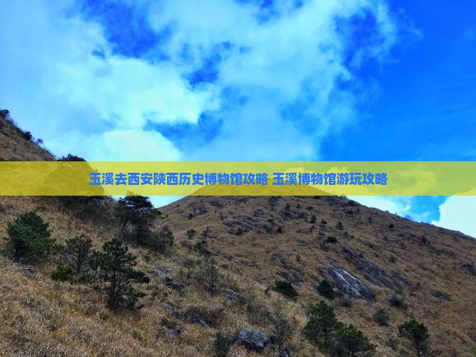 玉溪去西安陕西历史博物馆攻略