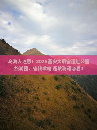 乌海市去西安大明宫国家遗址公园大型旅游团