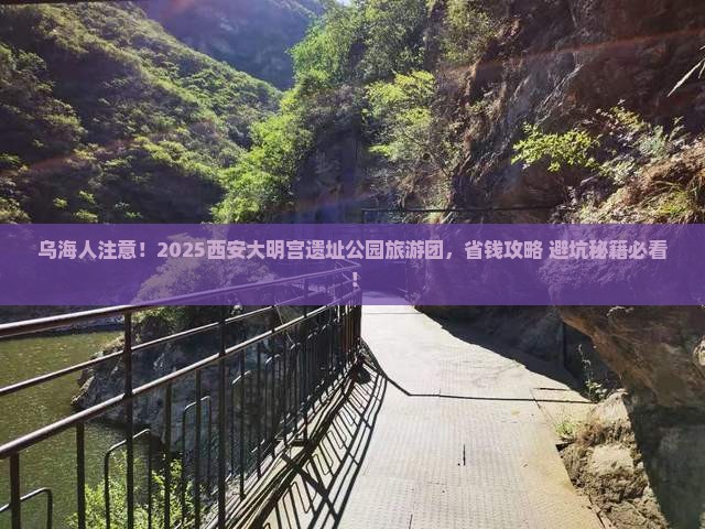 乌海市去西安大明宫国家遗址公园大型旅游团