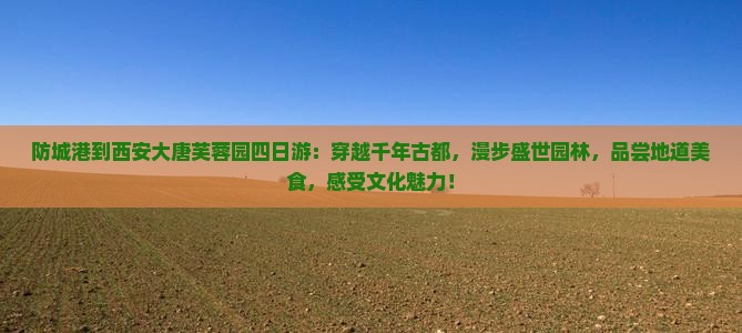 防城港到西安大唐芙蓉园四日游