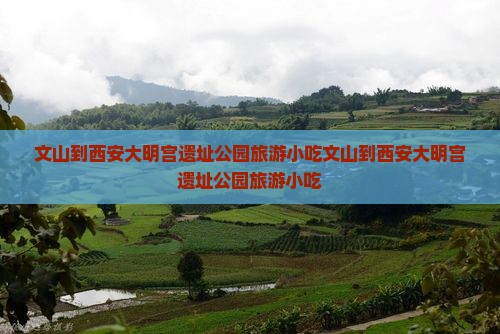 文山到西安大明宫国家遗址公园旅游小吃