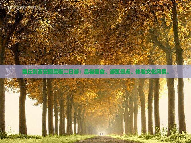 商丘到西安回民街二日游