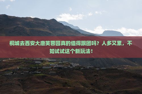 桐城去西安大唐芙蓉园大型旅游团