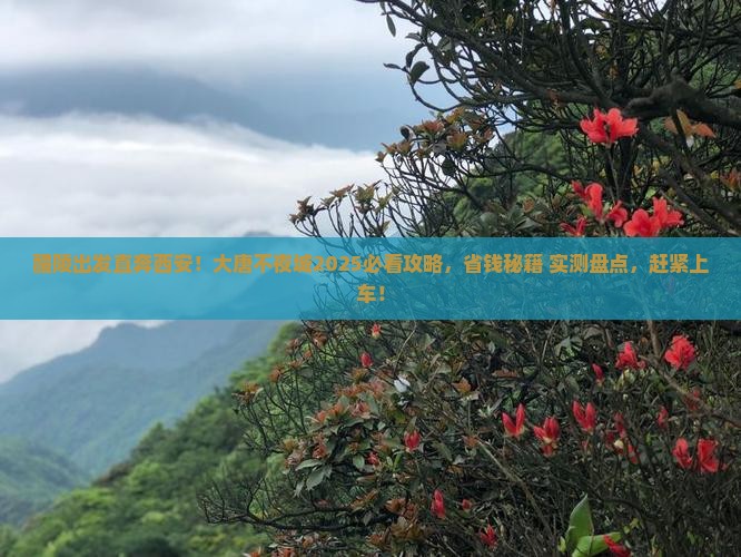 醴陵去西安大唐不夜城大型旅游团