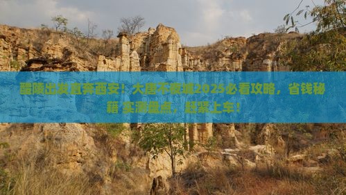 醴陵去西安大唐不夜城大型旅游团