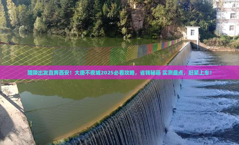 醴陵去西安大唐不夜城大型旅游团