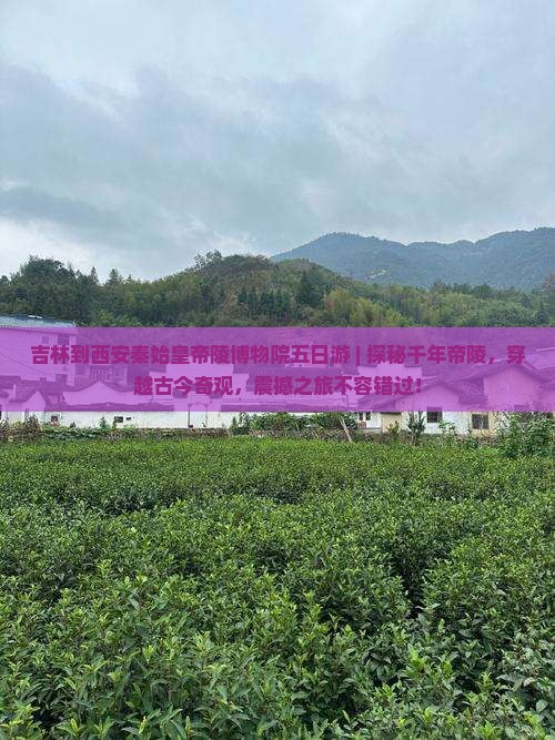 吉林到西安秦始皇帝陵博物院五日游