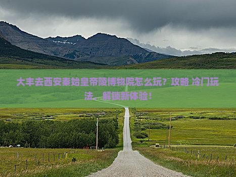 大丰去西安秦始皇帝陵博物院哪里玩