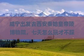 咸宁去西安秦始皇帝陵博物院七日游