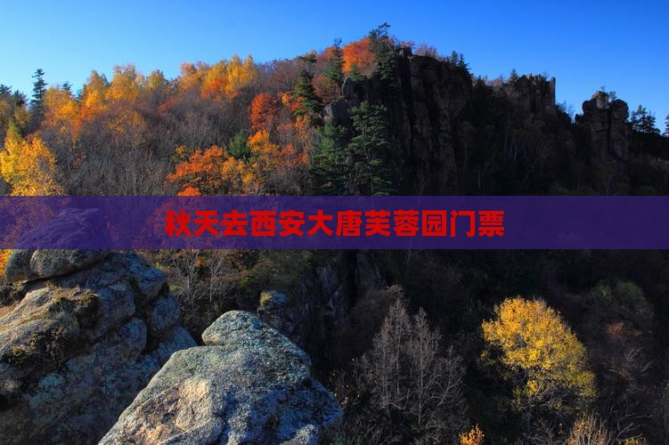 秋天去西安大唐芙蓉园门票