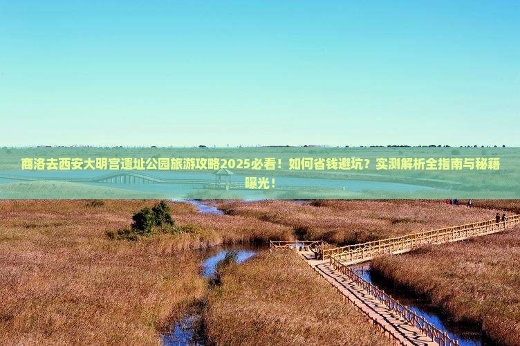 商洛去西安大明宫国家遗址公园旅游