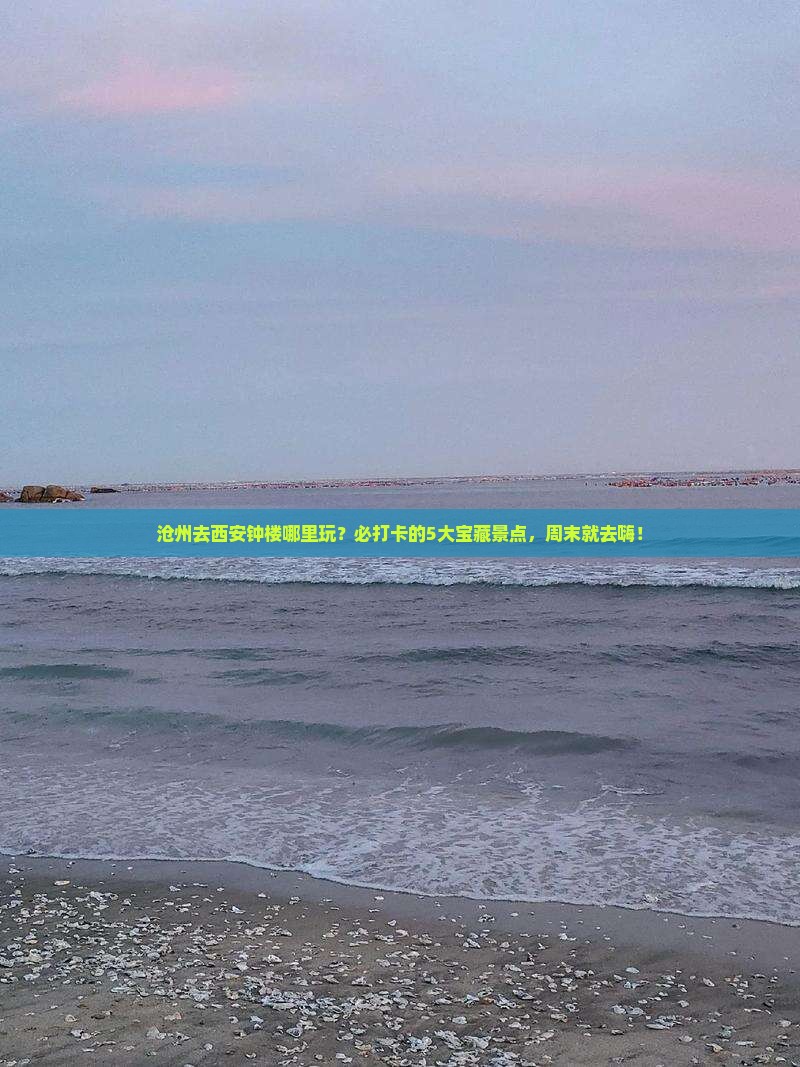 沧州去西安钟楼哪里玩