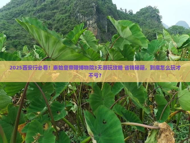 宜宾去西安秦始皇帝陵博物院旅游 宜宾去西安秦始皇帝陵博物院旅游
